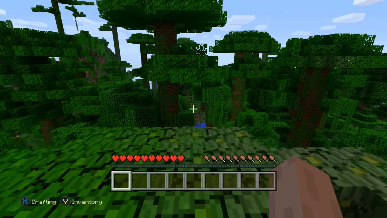 Minecraft screenshot 2