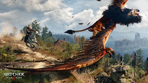 The Witcher 3: Wild Hunt screenshot 2