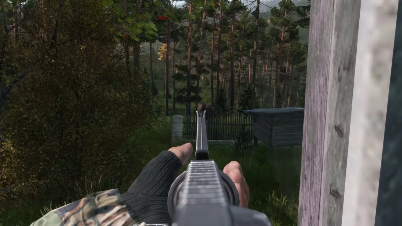 DayZ screenshot 4