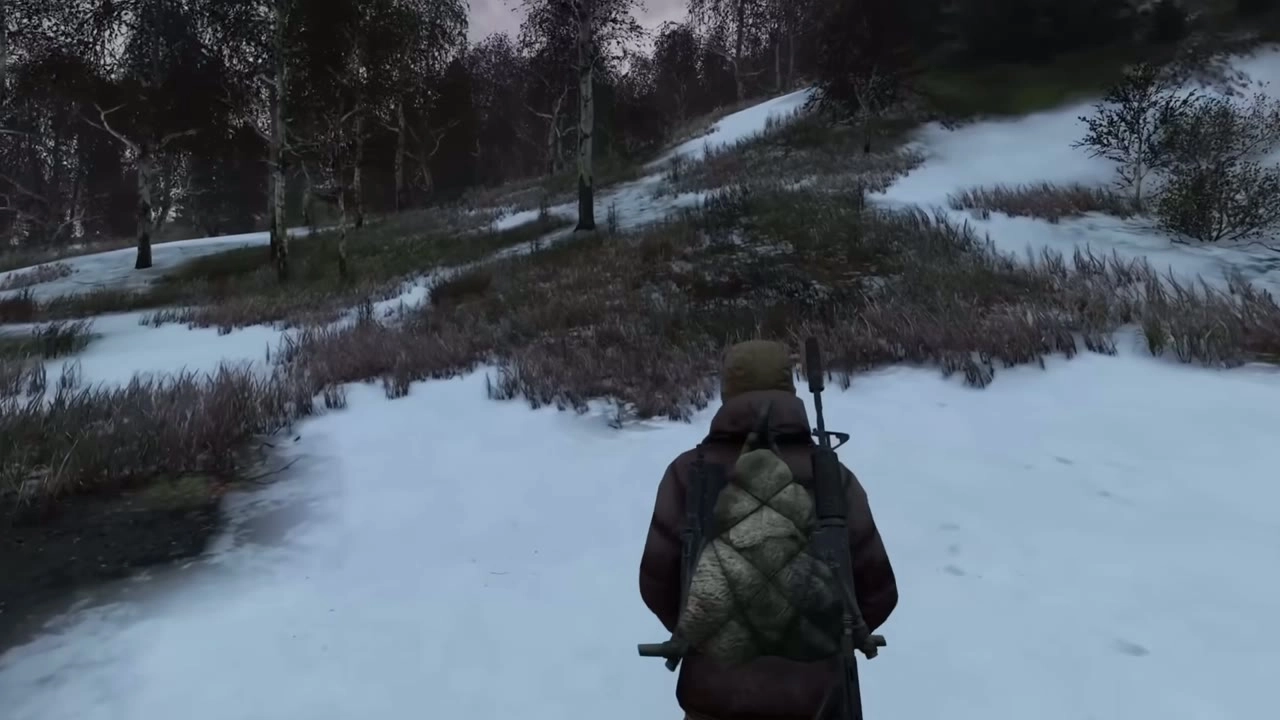 DayZ screenshot 5